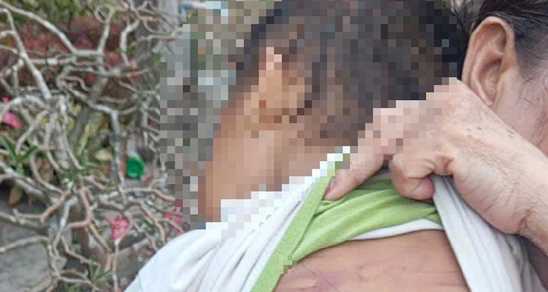 Nỗi đau trẻ thơ: Lời cảnh báo từ hai vụ bạo hành nghiêm trọng — image 2