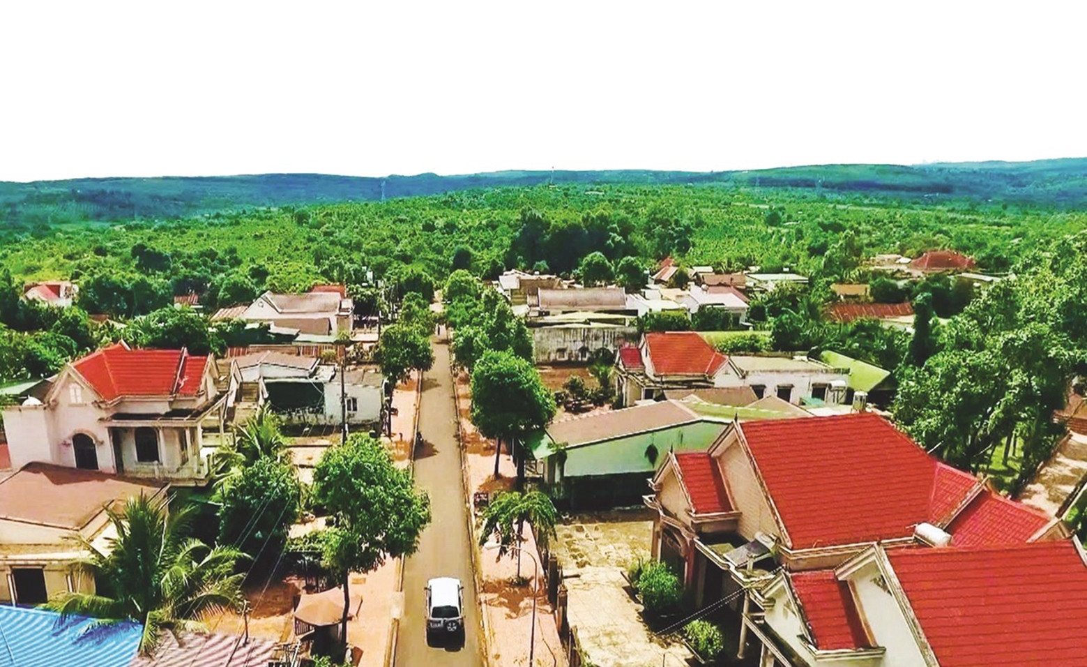 Một dòng họ   2.jpg