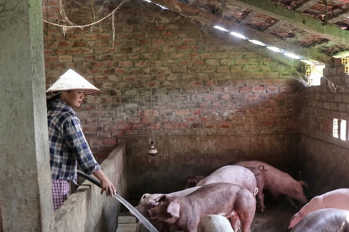 Nâng cao năng lực tiếp cận tri thức khởi nghiệp cho hàng chục nghìn phụ nữ