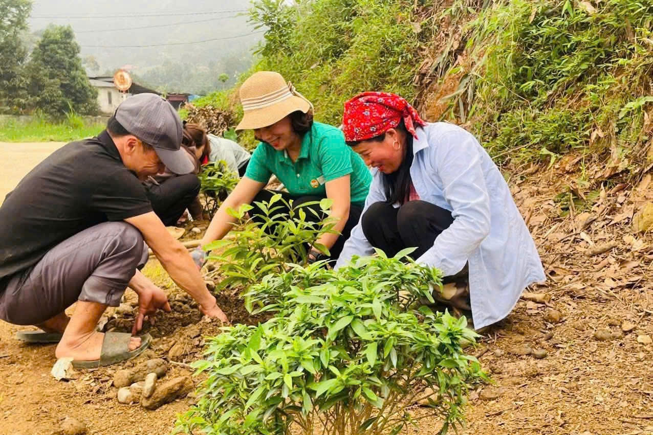 Phụ nữ Trấn Yên: Giảm nghèo thông tin để phát triển kinh tế