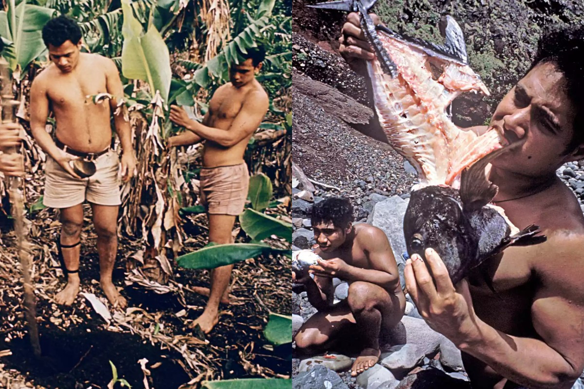 sinhton2.jpg