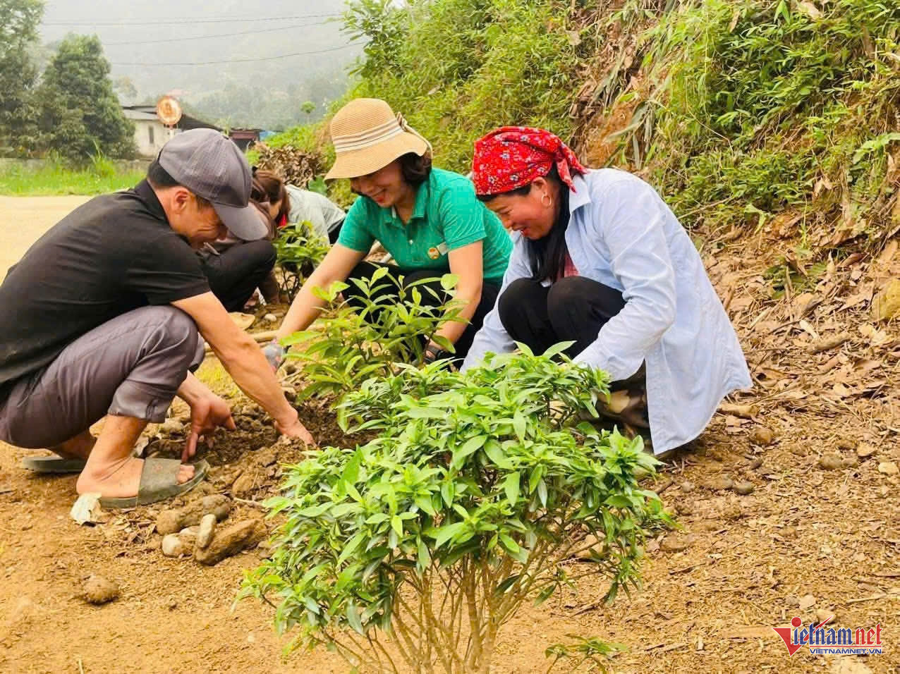 W-anh tin phu nu tran yen.jpg
