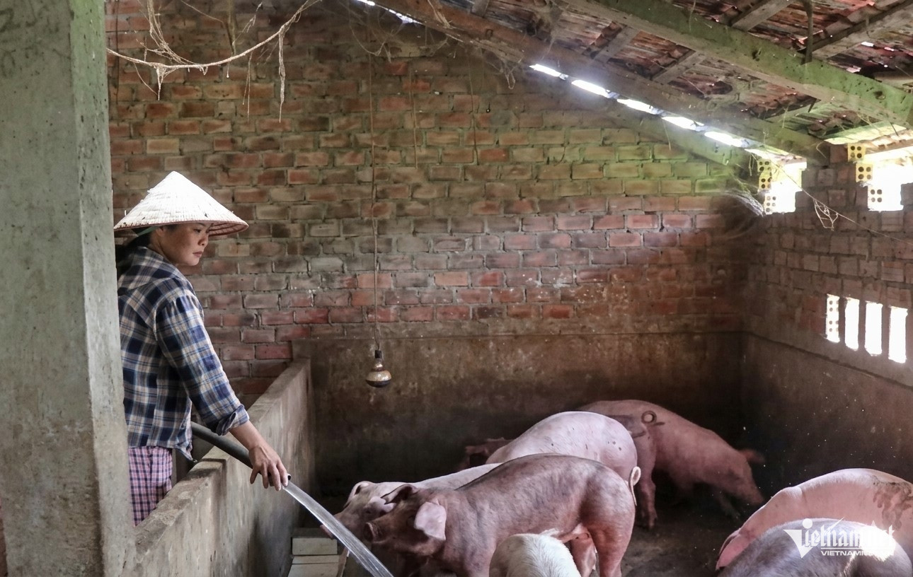 W-Phu nu Dak Lak khoi nghiep.jpg