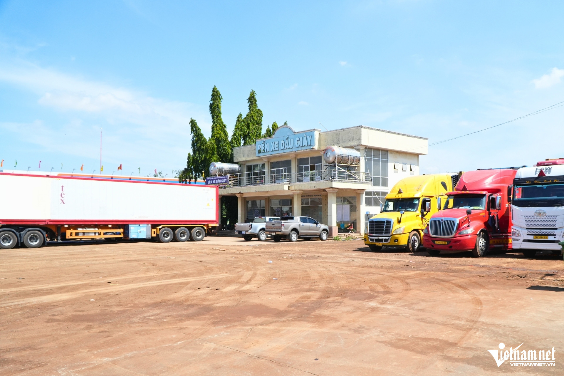 W-sau rieng 4.jpg