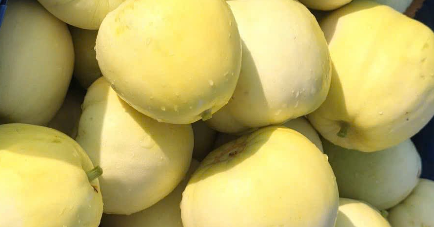 Ai nên ăn dưa lê thường xuyên?