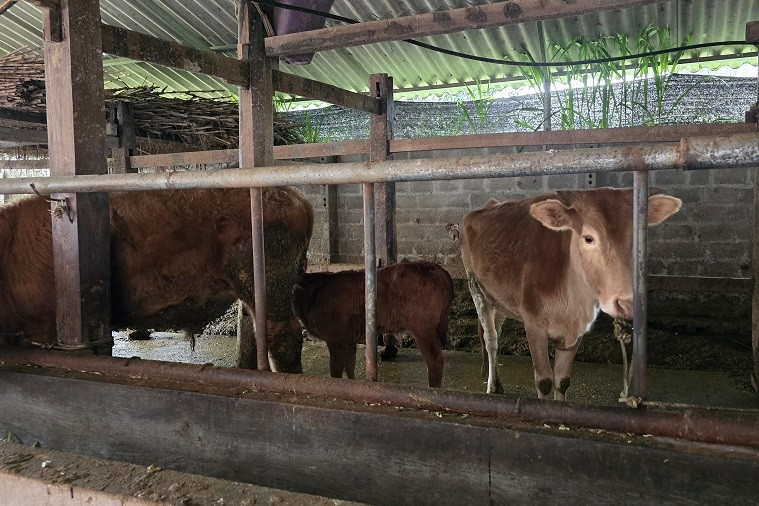 Phiêng Cằm triển khai đồng bộ các giải pháp giảm nghèo thông tin