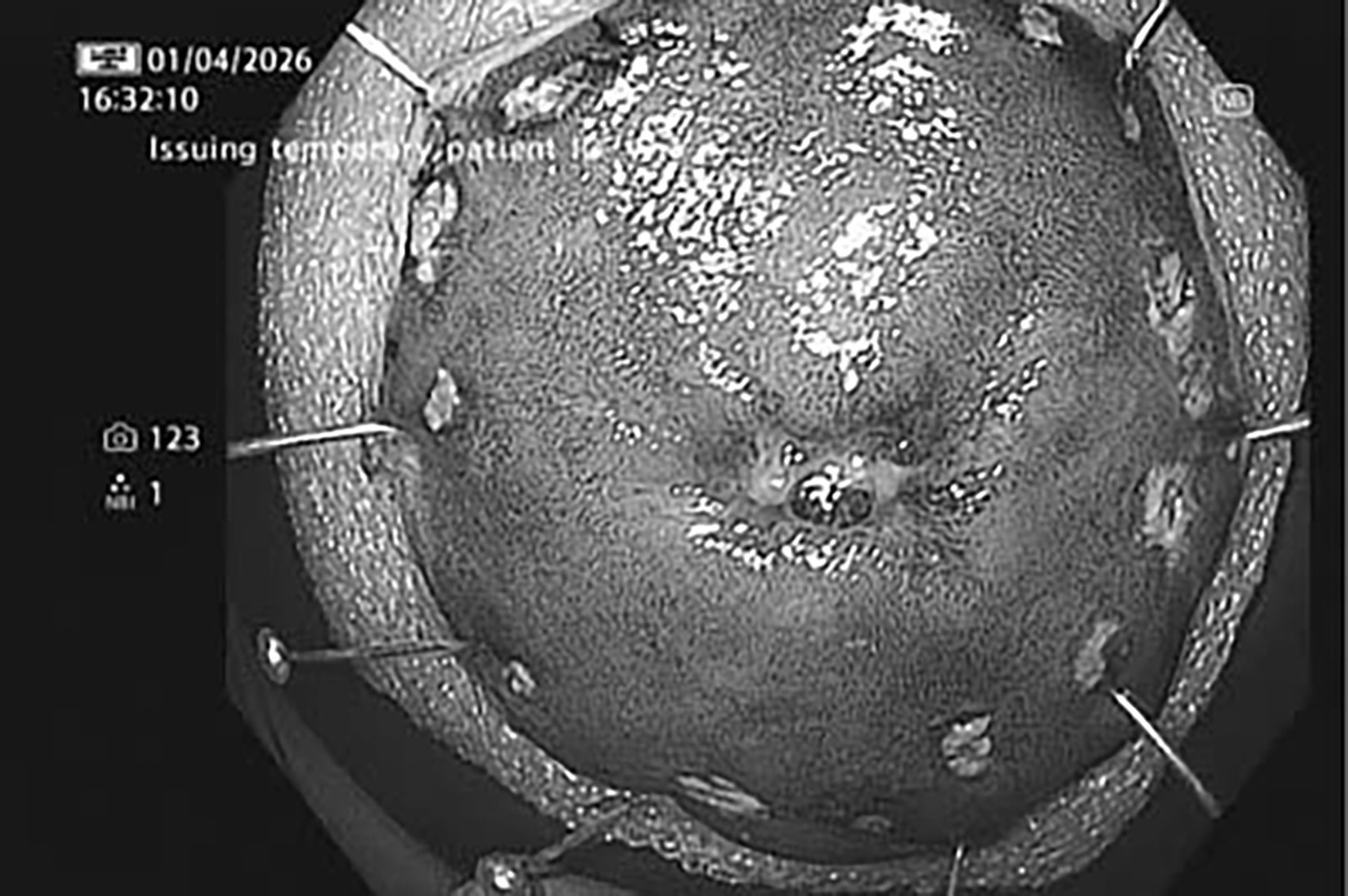 z7758736294570_4434a32856234efb14d1b0629471667f.jpg