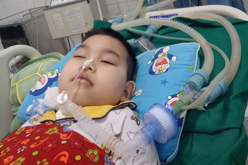  Bé trai 9 tuổi người Tày nguy kịch vì viêm não Nhật Bản, cha mẹ nghèo kiệt quệ 
