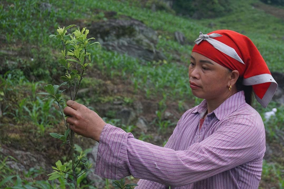Chính sách dân tộc tạo lực đẩy để vùng cao chuyển mình