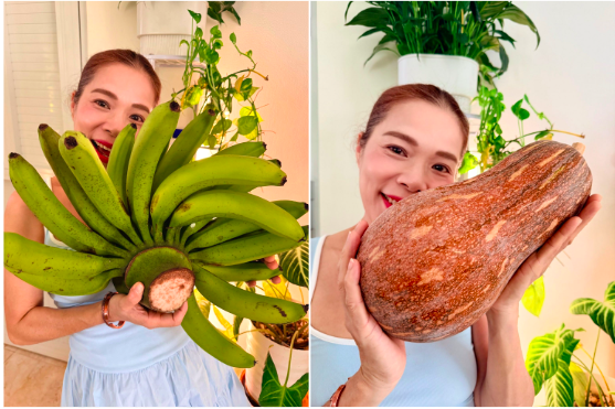 Nữ Phó Chủ tịch tuổi 53 chán hát, mê làm nông dân và sở hữu vườn 10.000m2