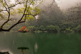 https://static-images.vnncdn.net/vps_images_publish/000001/000003/2026/5/9/thung-lung-lan-ty-2-943-2286.jpg