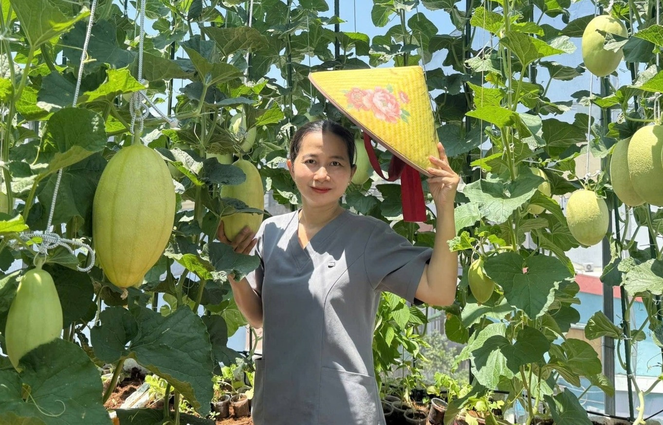 Vườn dưa lúc lỉu trên sân thượng ở TPHCM, chủ nhà 5 năm làm việc 'ngược đời'