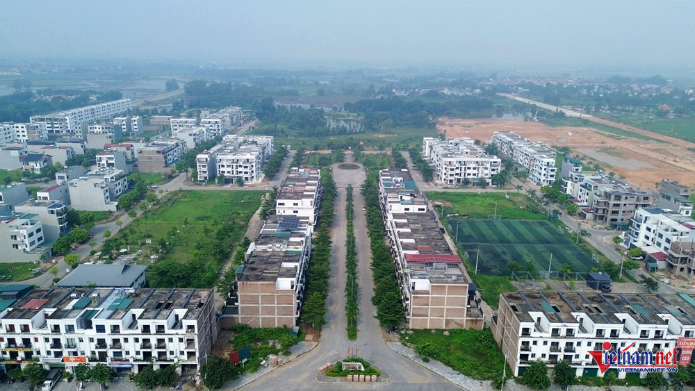 w dothixuanhoajpg 2089.jpg