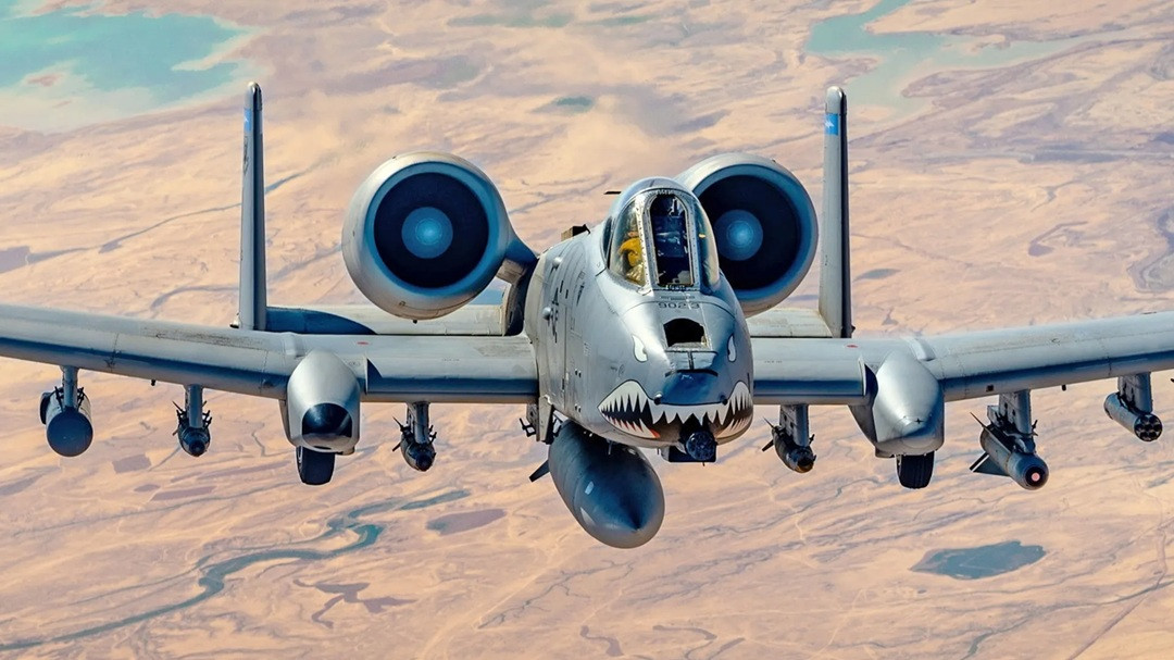 warhog a 10.jpg