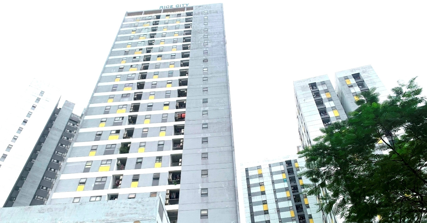 "Doanh nghiệp nên làm nhà thầu, Nhà nước trực tiếp quản lý, vận hành nhà ở cho thuê"