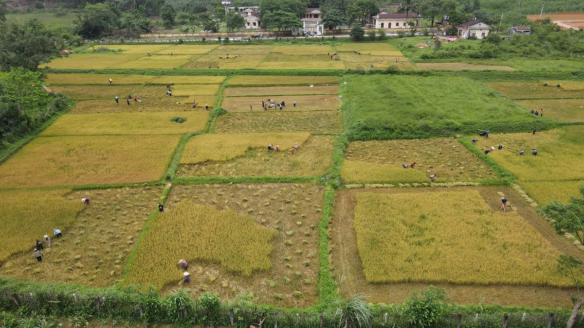 anh 1.jpg