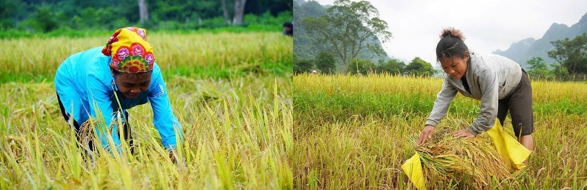 anh 6.jpg