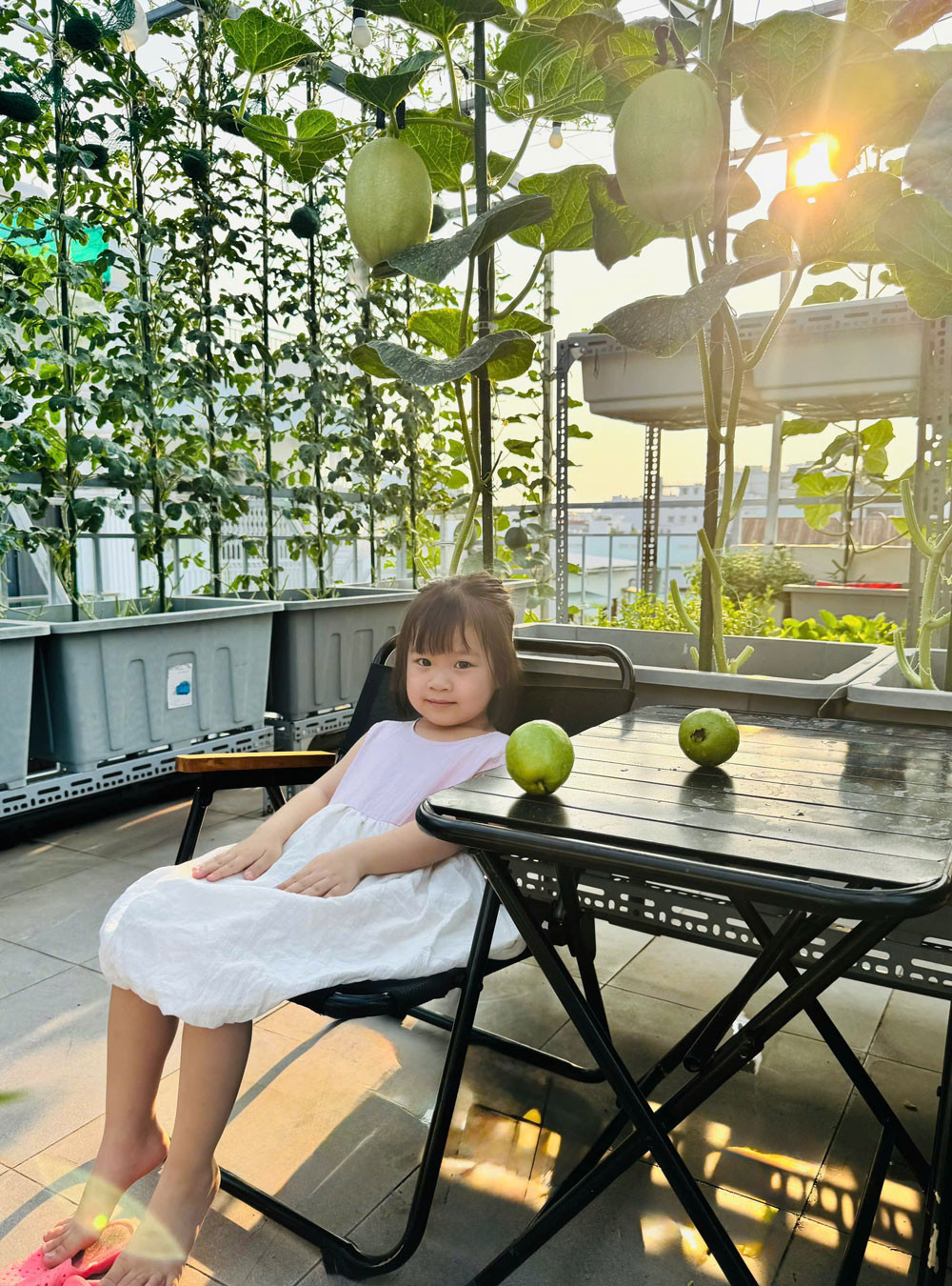 https://static-images.vnncdn.net/vps_images_publish/000001/000003/2026/6/1/anh-6-3602.jpg