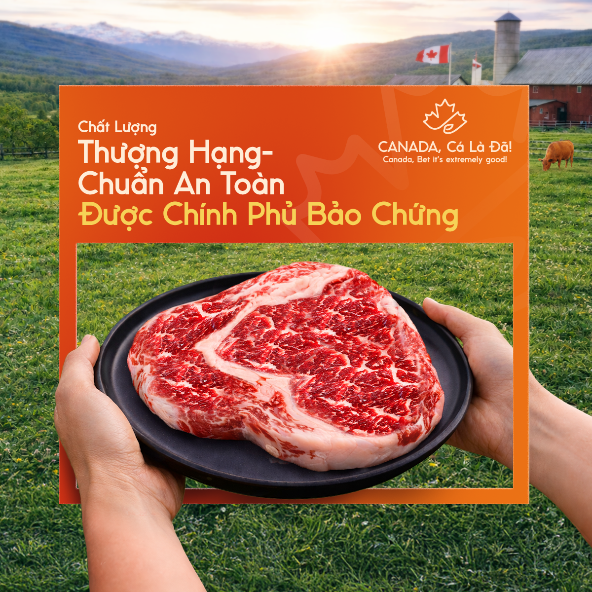 Ảnh số 1.png