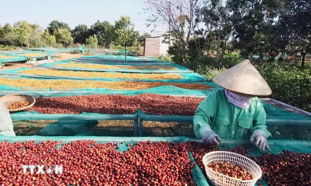 Ảnh số 3.jpg