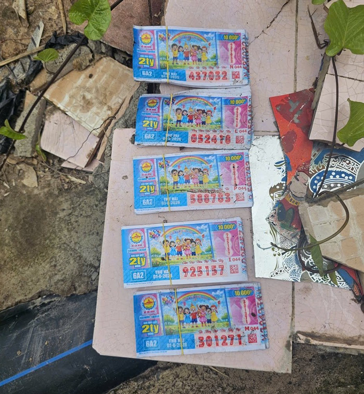 cuop giat ve so 2.png