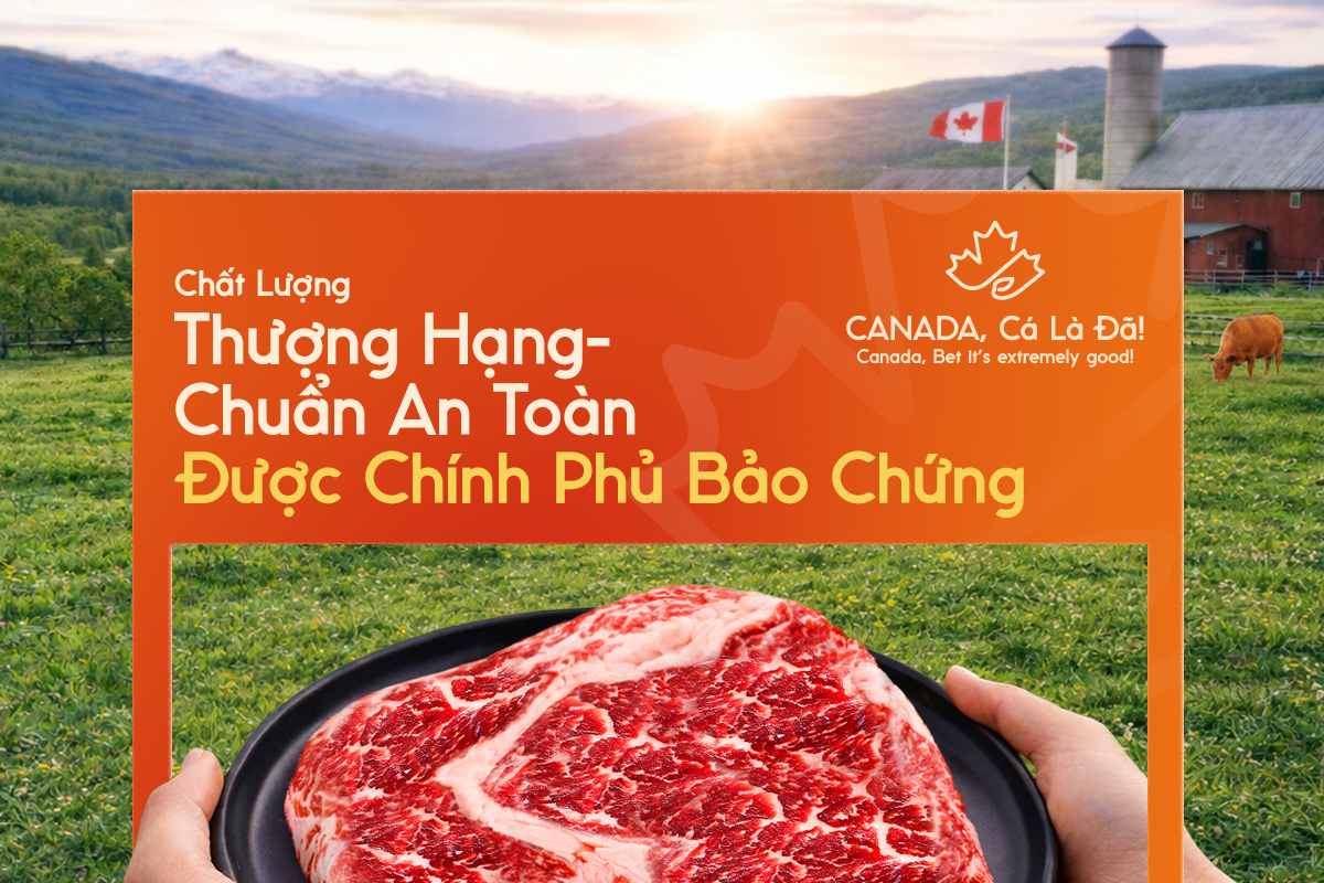 Nông sản Canada - Hành trình từ trang trại đến gian bếp Việt