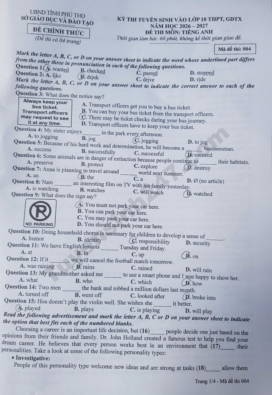 p1 result.jpg