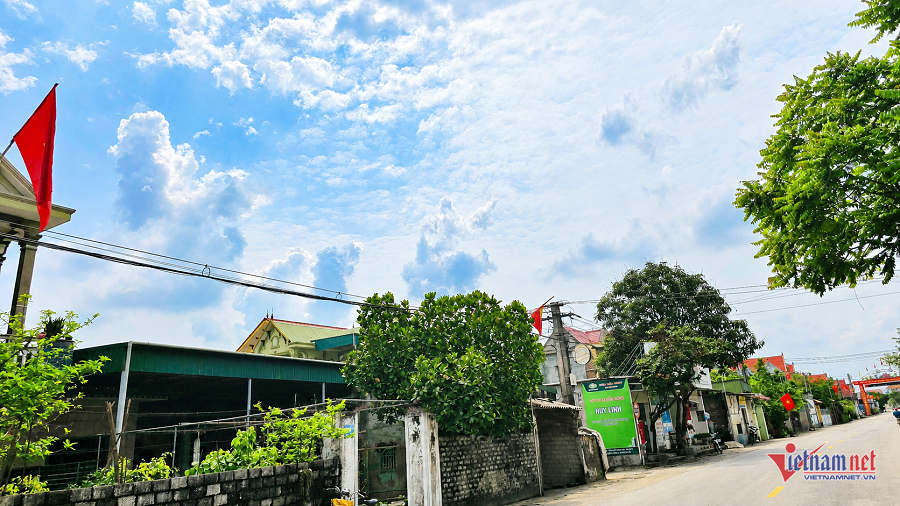 W-Giảm nghèo.png