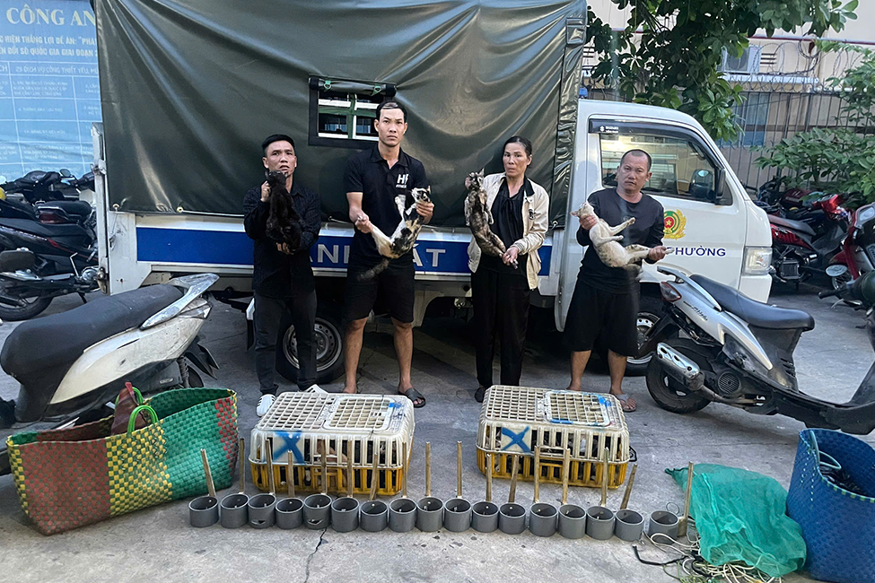 Công an 'giải cứu' 500 con mèo trong đường dây trộm thú cưng quy mô lớn