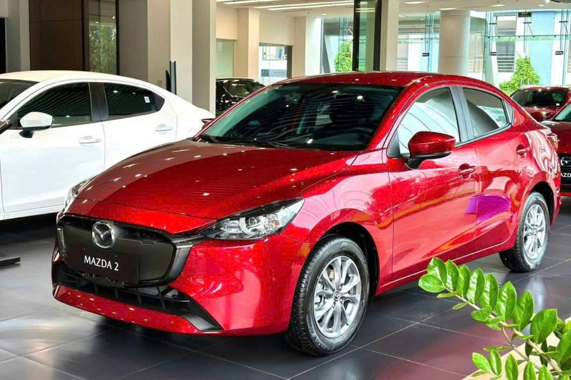Mazda2 VVK.jpg