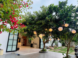 https://static-images.vnncdn.net/vps_images_publish/000001/000003/2026/6/11/nha-dep-lam-dong-6-823.jpg