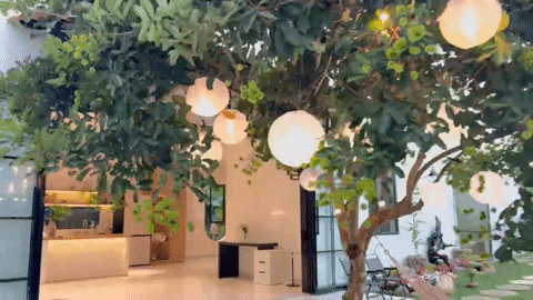 nhà Lâm Đồng 0.mp4