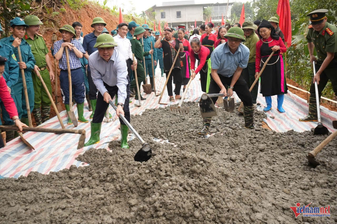 W-anh bai hua bum.jpg