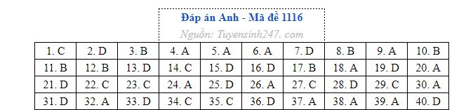 Anh 1116.jpg