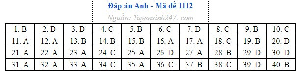 Anh 12.jpg