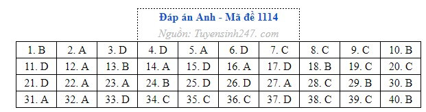 Anh 14.jpg