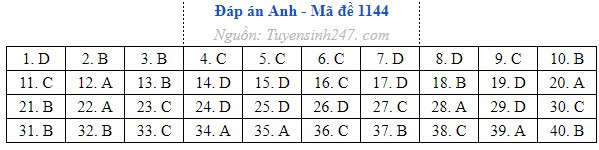 Anh 44.jpg