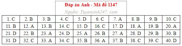 Anh 47.jpg