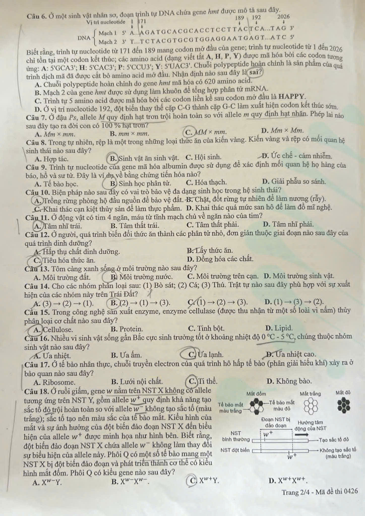 https://static-images.vnncdn.net/vps_images_publish/000001/000003/2026/6/12/de-sinh-2-2640.jpg