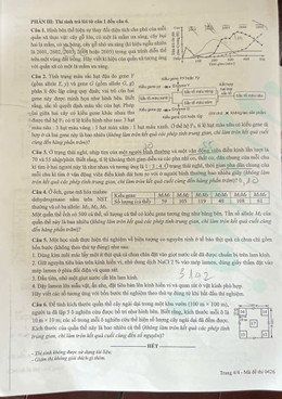 https://static-images.vnncdn.net/vps_images_publish/000001/000003/2026/6/12/de-sinh-4-2642.jpg