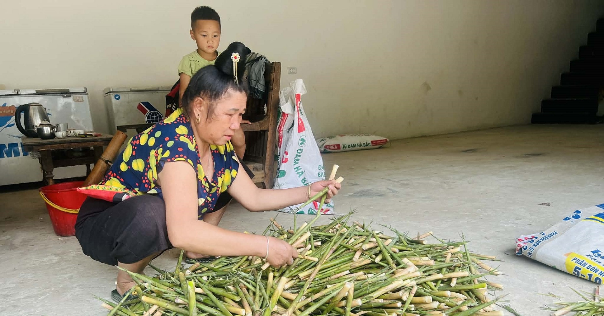 vietnamnet.vn
