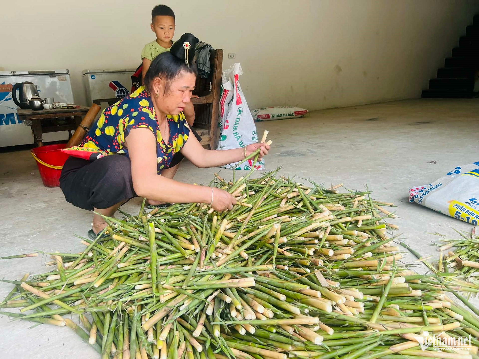 W-Anh tin 41.jpg