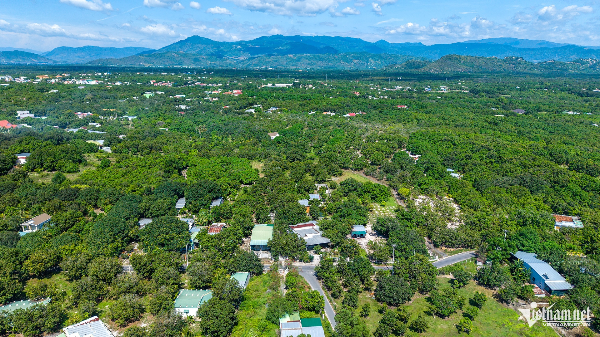 W-Xoai Cam Lam DJI_20260605102117_0205_D.jpg