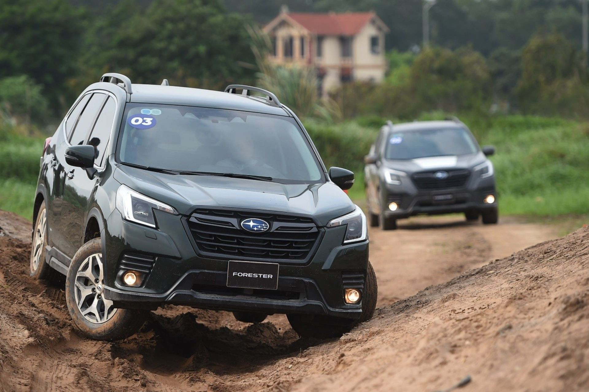 di offroad.jpg