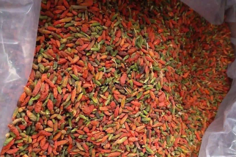Loại quả nhỏ bé được ví như 'vàng đỏ'