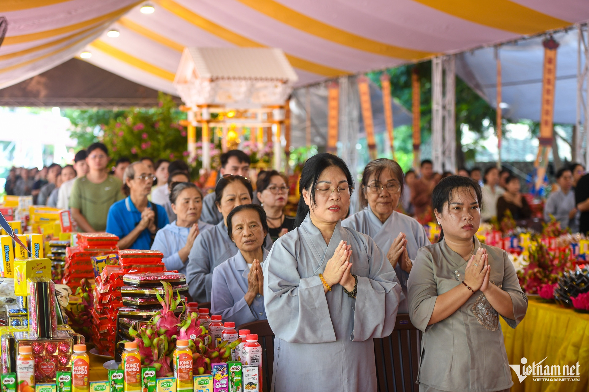 https://static-images.vnncdn.net/vps_images_publish/000001/000003/2026/6/14/w-cau-sieu-liet-si-tphcm-nguyen-hue-6-1204.jpg