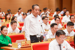 W-đại biêu.jpg