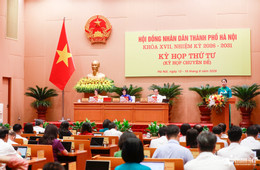 W-hđnd tp.jpg