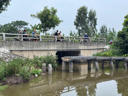 cầu cổ 4.jpeg