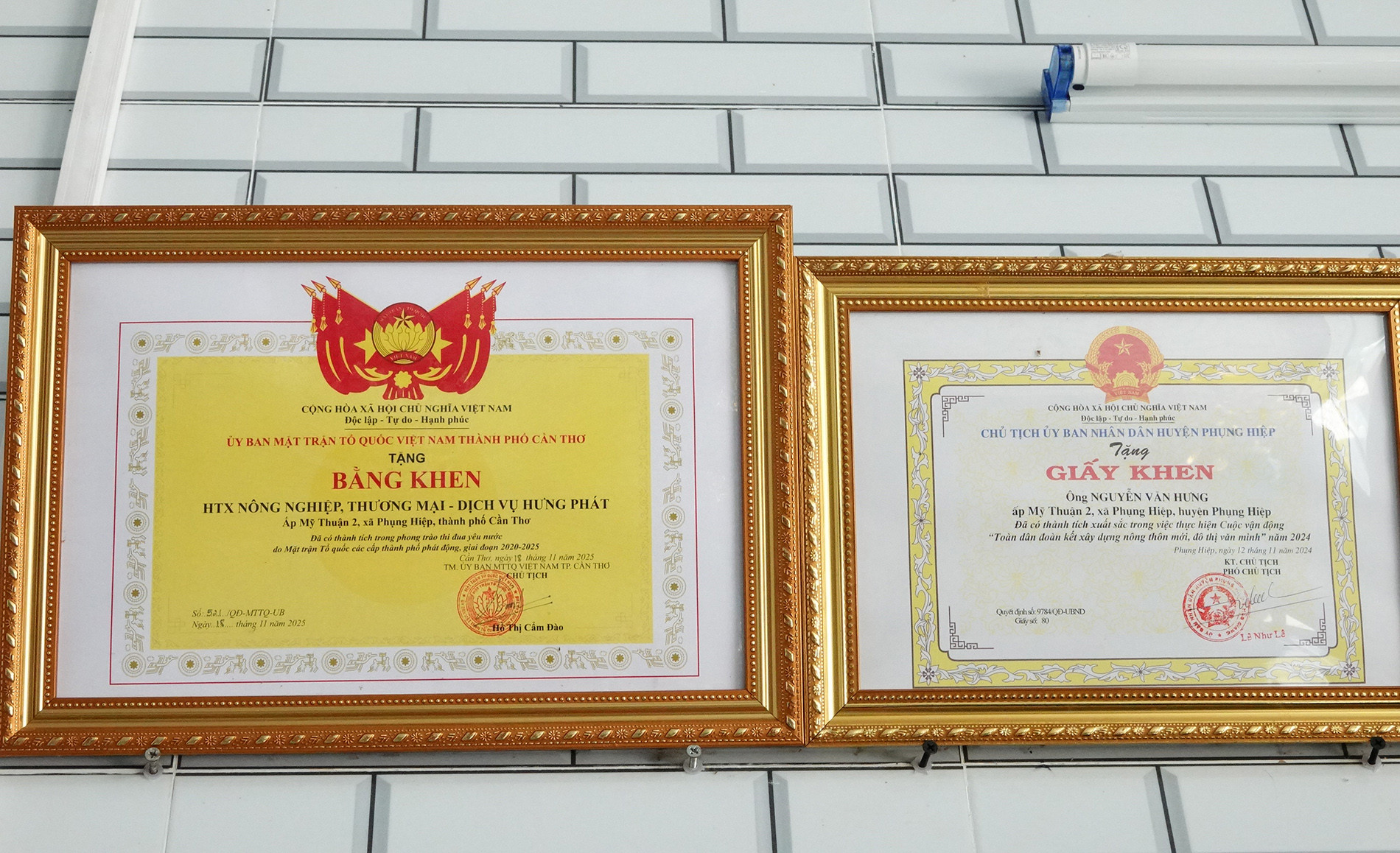 Nuôi chồn.jpg
